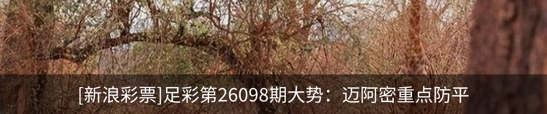 资讯中心